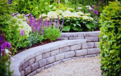 Transform Your Outdoor Space with the Best Landscaping Services in Denver, CO