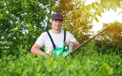 The Essential Guide: What Services Do Professional Landscapers Offer?