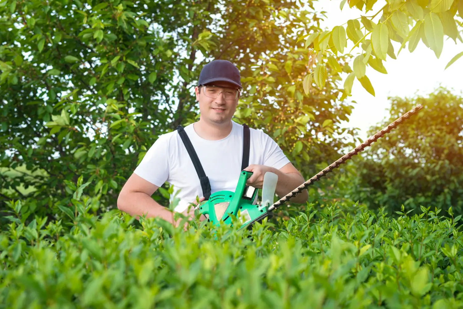 The Essential Guide: What Services Do Professional Landscapers Offer?