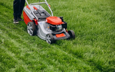 Understand Lawn Care Service Costs in Fort Lupton and the Denver Metro Area