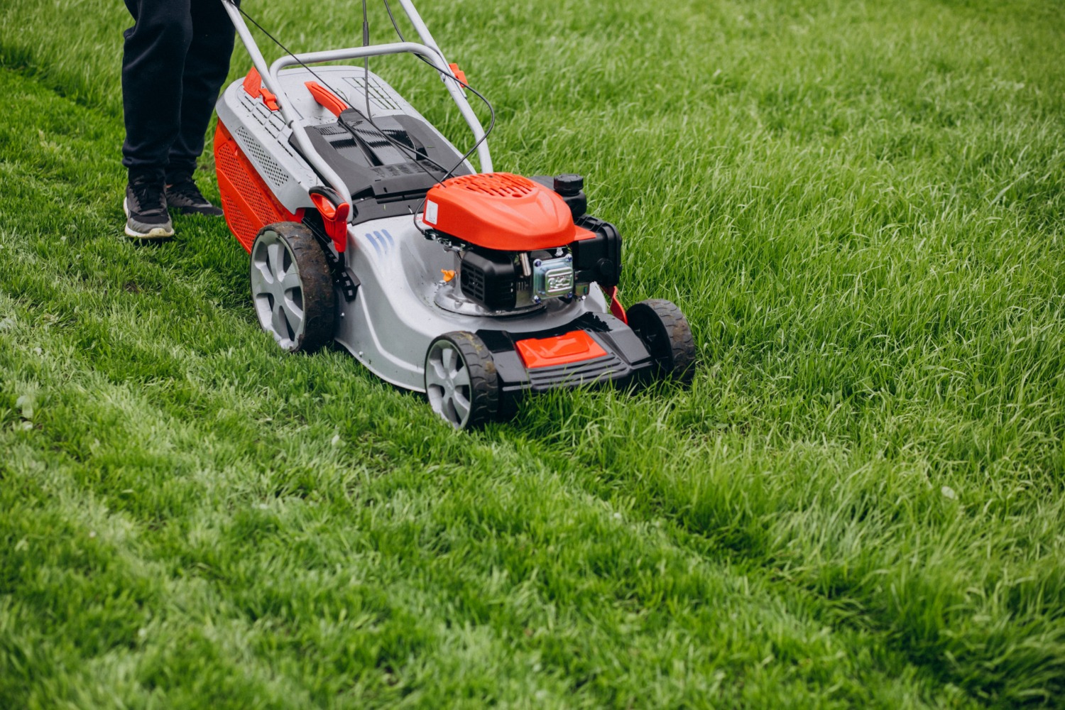 Understand Lawn Care Service Costs in Fort Lupton and the Denver Metro Area