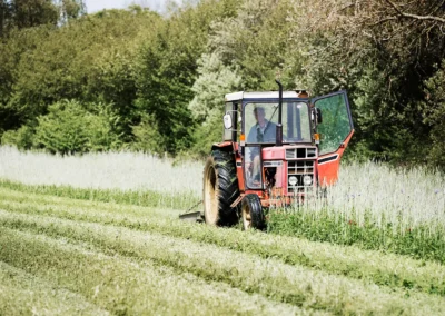 Grassland Mowing process