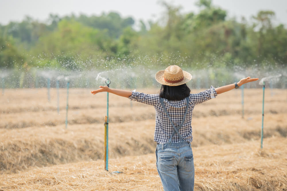 Overview of Irrigation Systems Installation & Maintenance