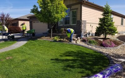 Creating Sustainable Landscapes for a Greener Future with Lance Landscaping LLC