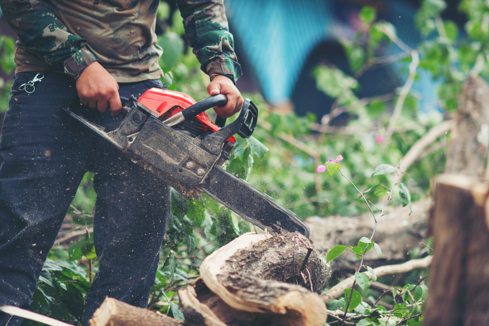 Tree Removal Services by Lance Landscaping LLC